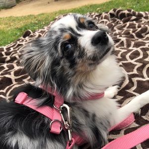 Meet your Posher, Veronica